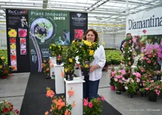 Bernadette Raulf of DHMI presenting their new yellow dipladenia Citrine 2.0. "When comparing this variety to the first version (on the left), it allows easier production under standard conditions - with better branching and higher vigor, has a larger flower size and a more golden yellow color."